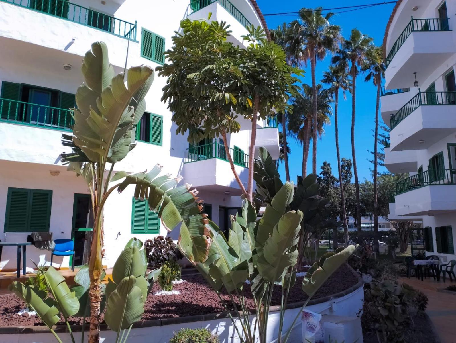 Canarian Havaii En Faluas Playa del Inglés Buitenkant foto